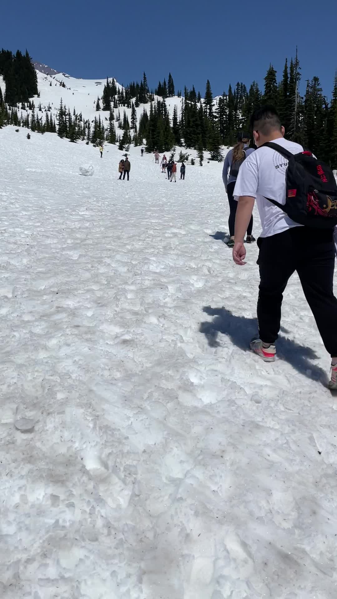 Mount Rainier National Park