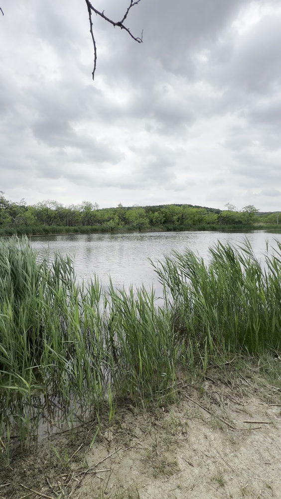 The Pond At Cedar Ridge