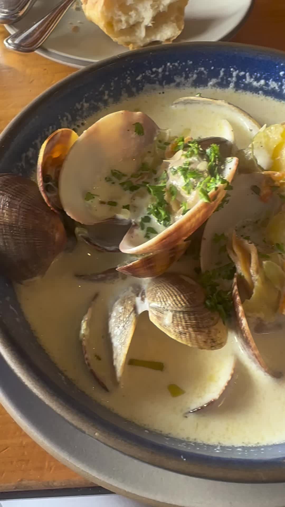 Video review of Hog Island Oyster Co.