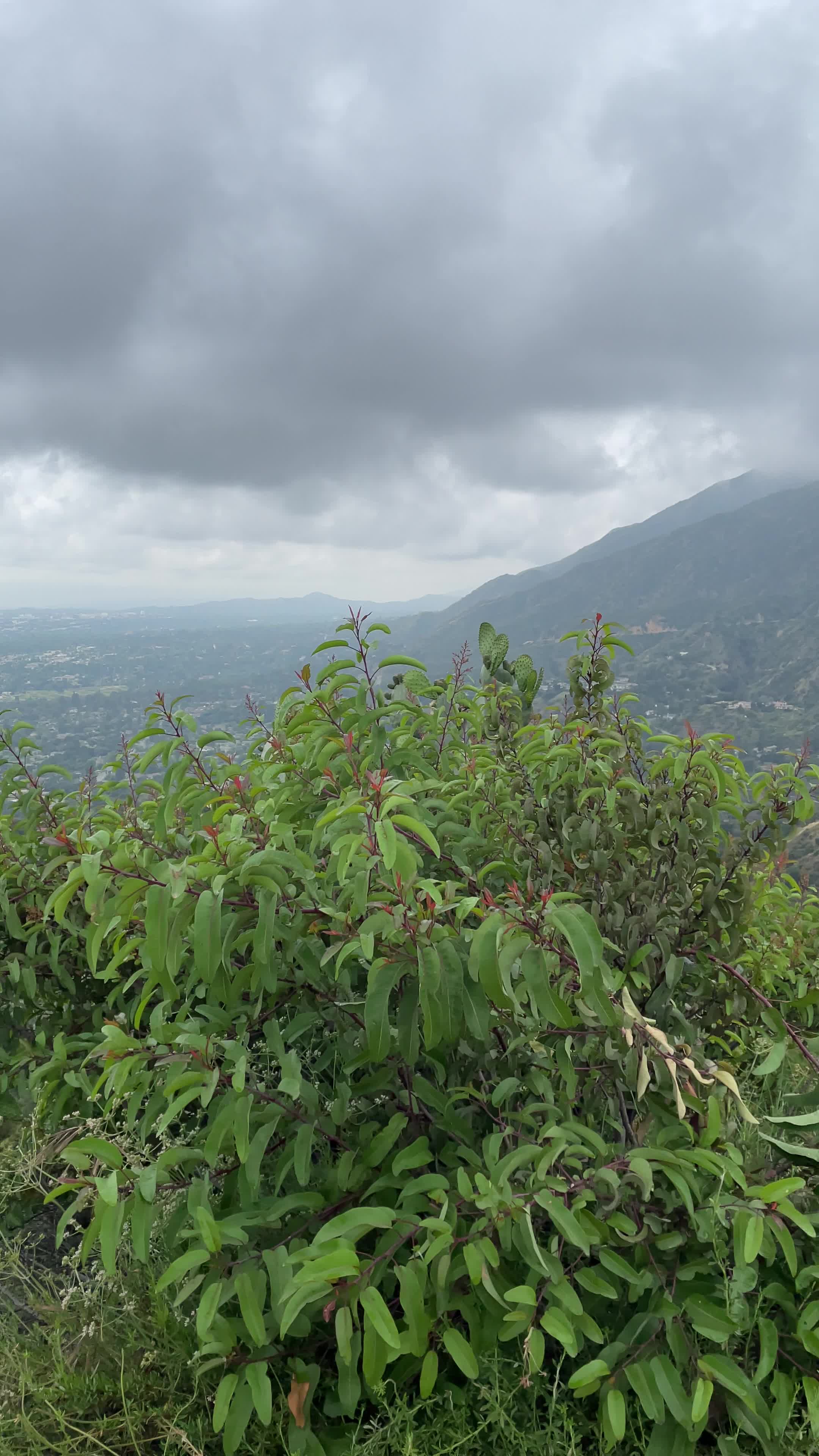 Hillside Wilderness Preserve