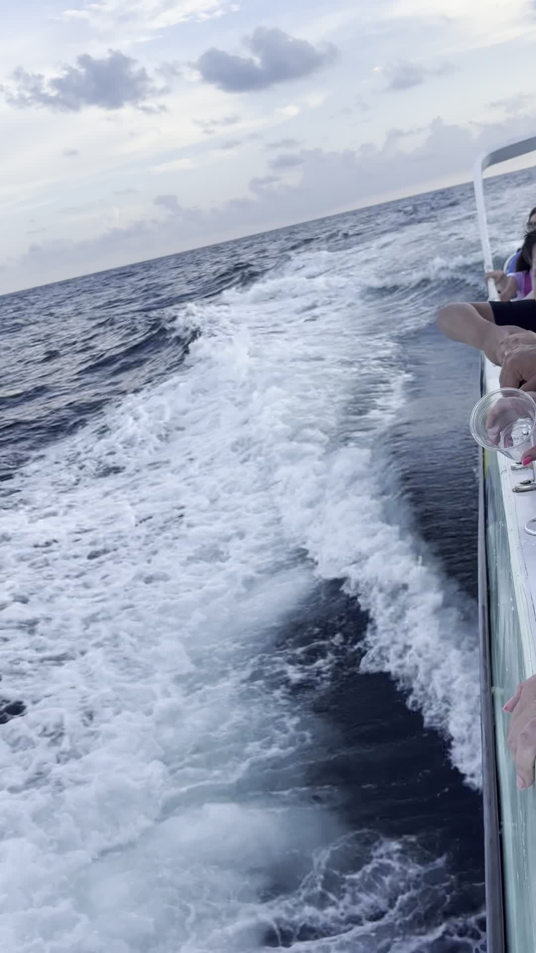 The Gulf Of Mexico