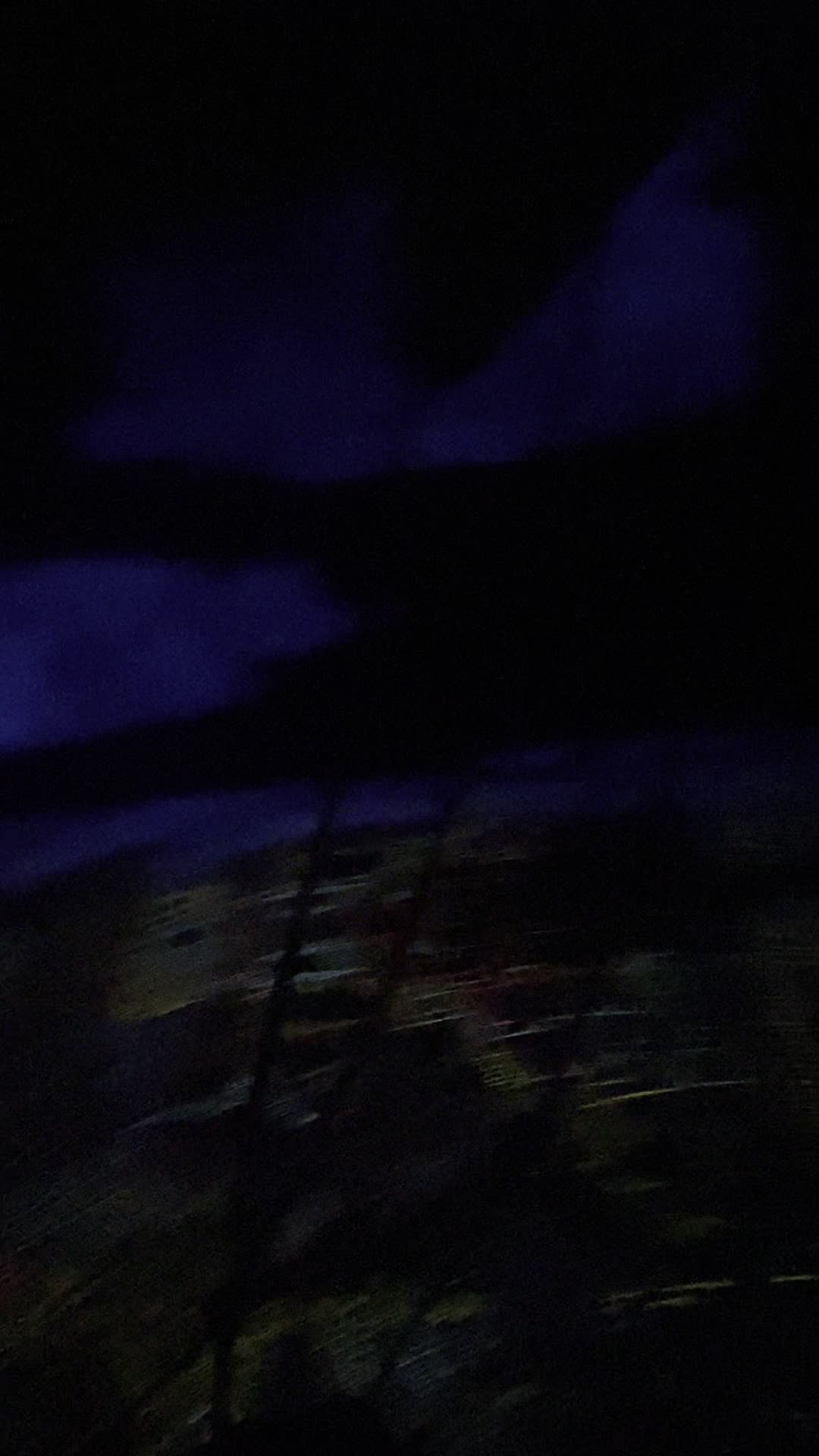Video review of Peter Pan's Flight