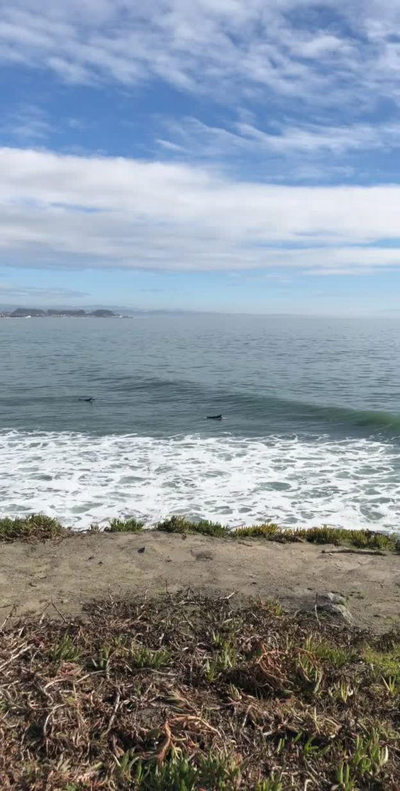 Santa Cruz Wharf