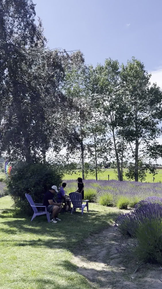 Purple Haze Lavender Gift Shop