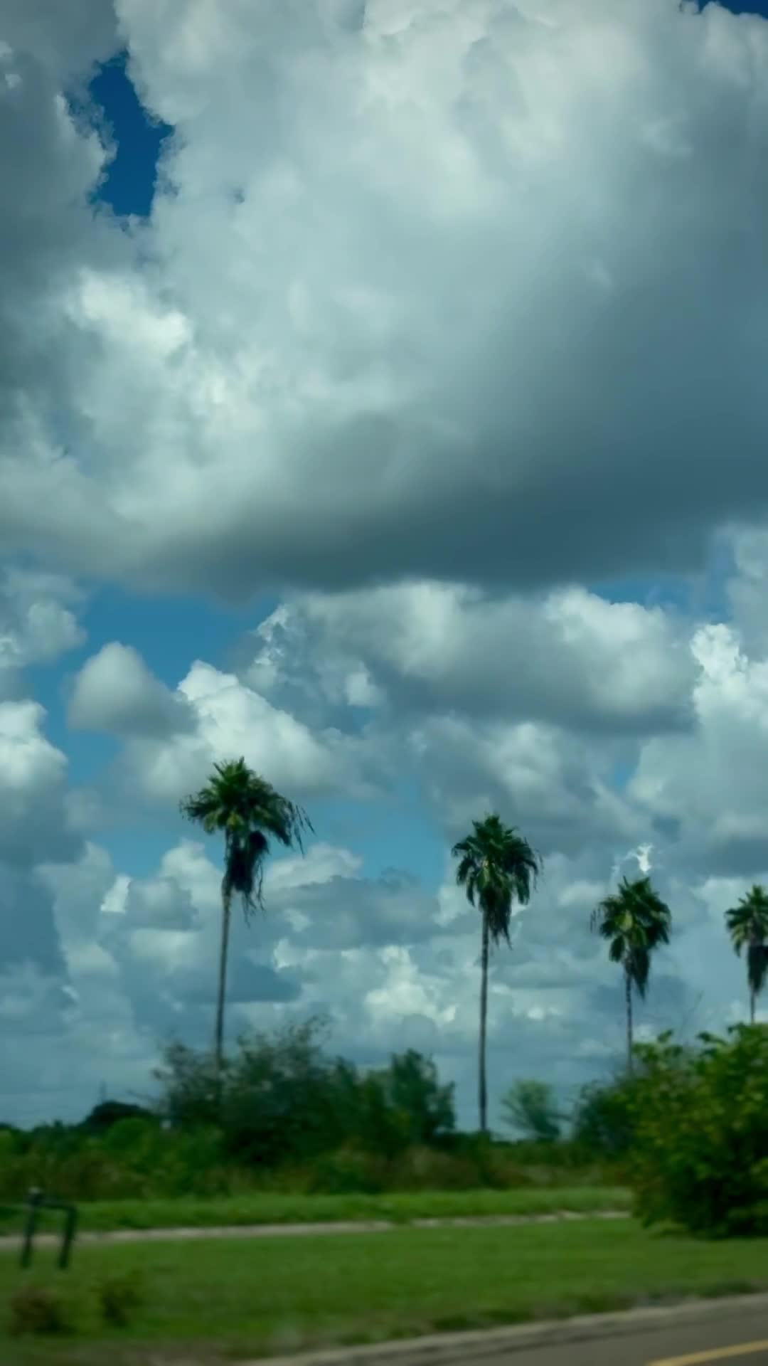 La Quinta Inn & Suites McAllen La Plaza Mall