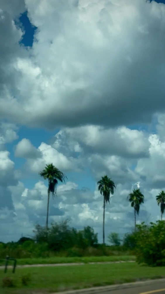 La Quinta Inn & Suites McAllen La Plaza Mall
