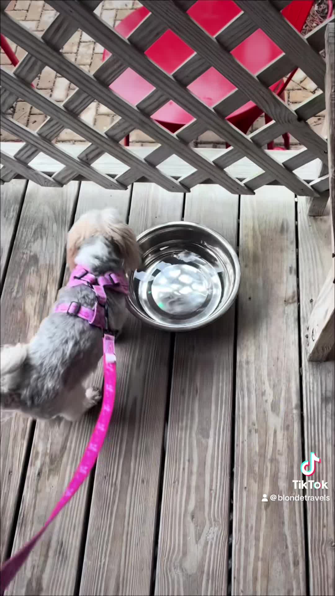 TyBean Art & Coffee Bar