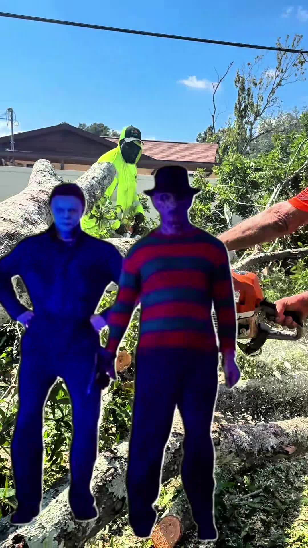 All Your Way Lawn, Tree, and Property Maintenance