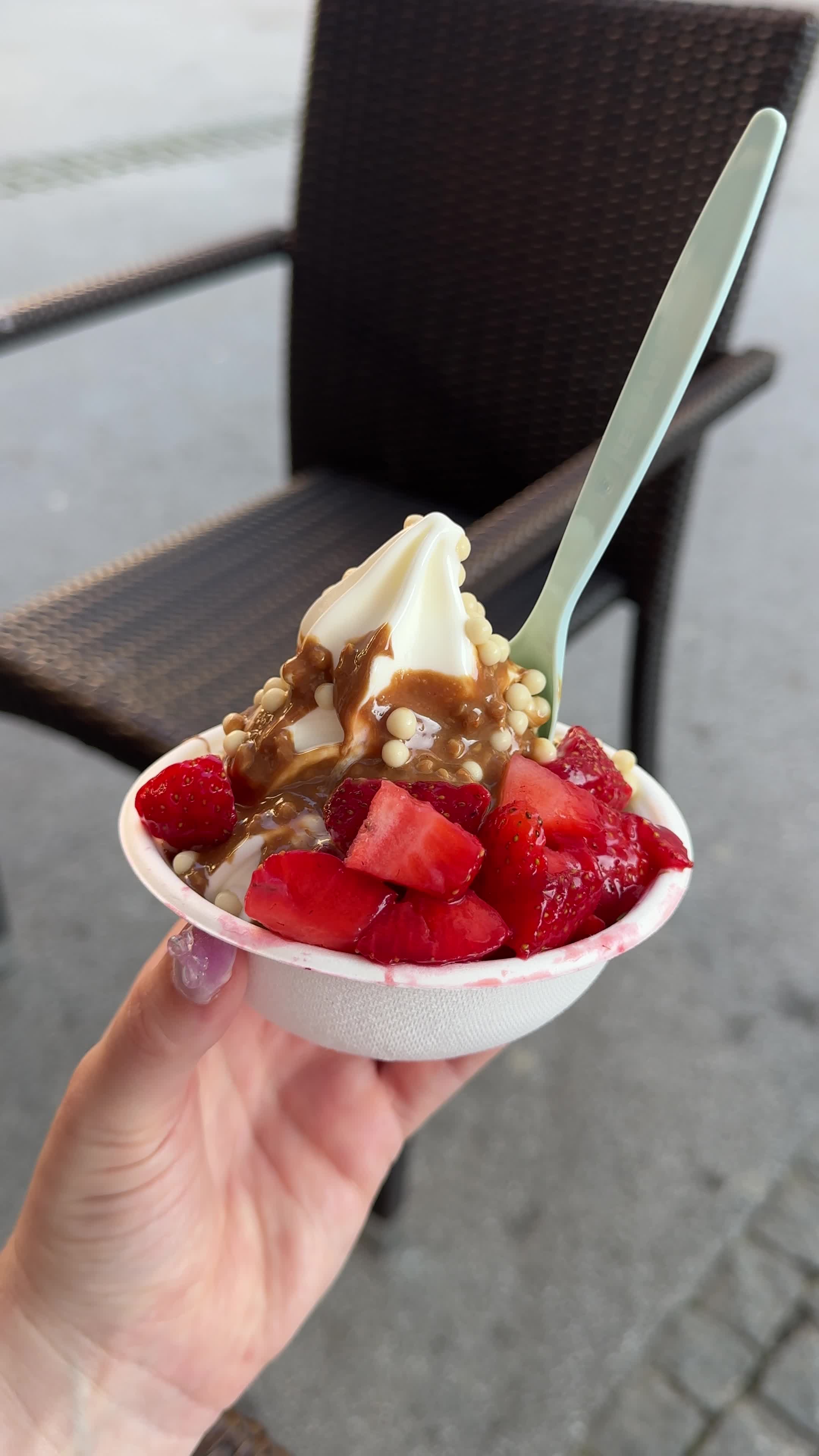 Fabi's Frozen Bio Yogurt