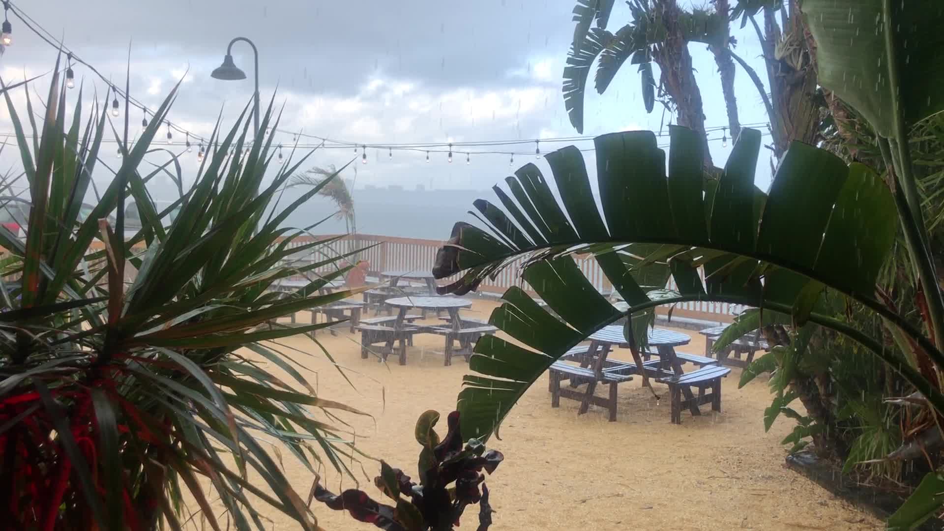 Conchy Joe's Seafood