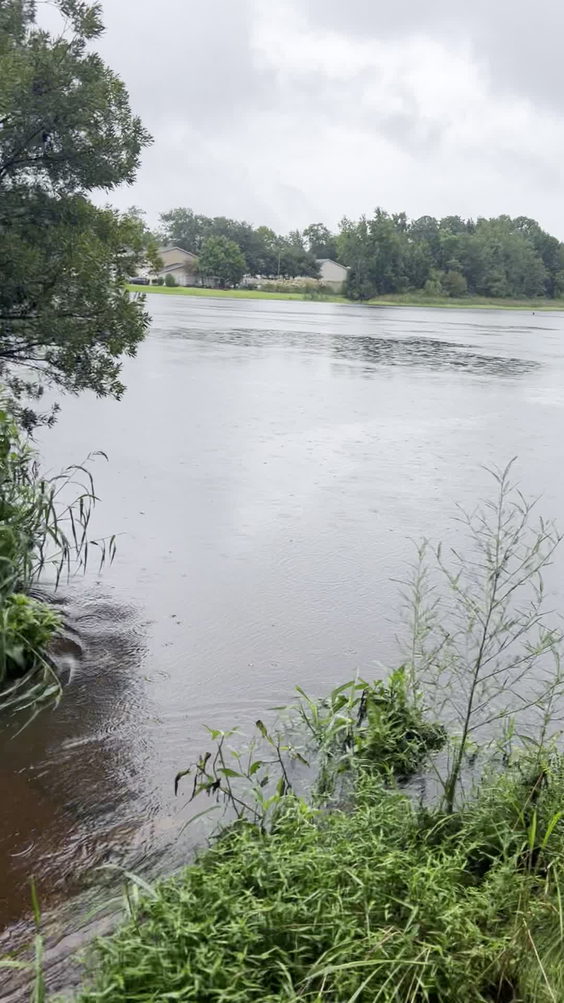 Lakeview