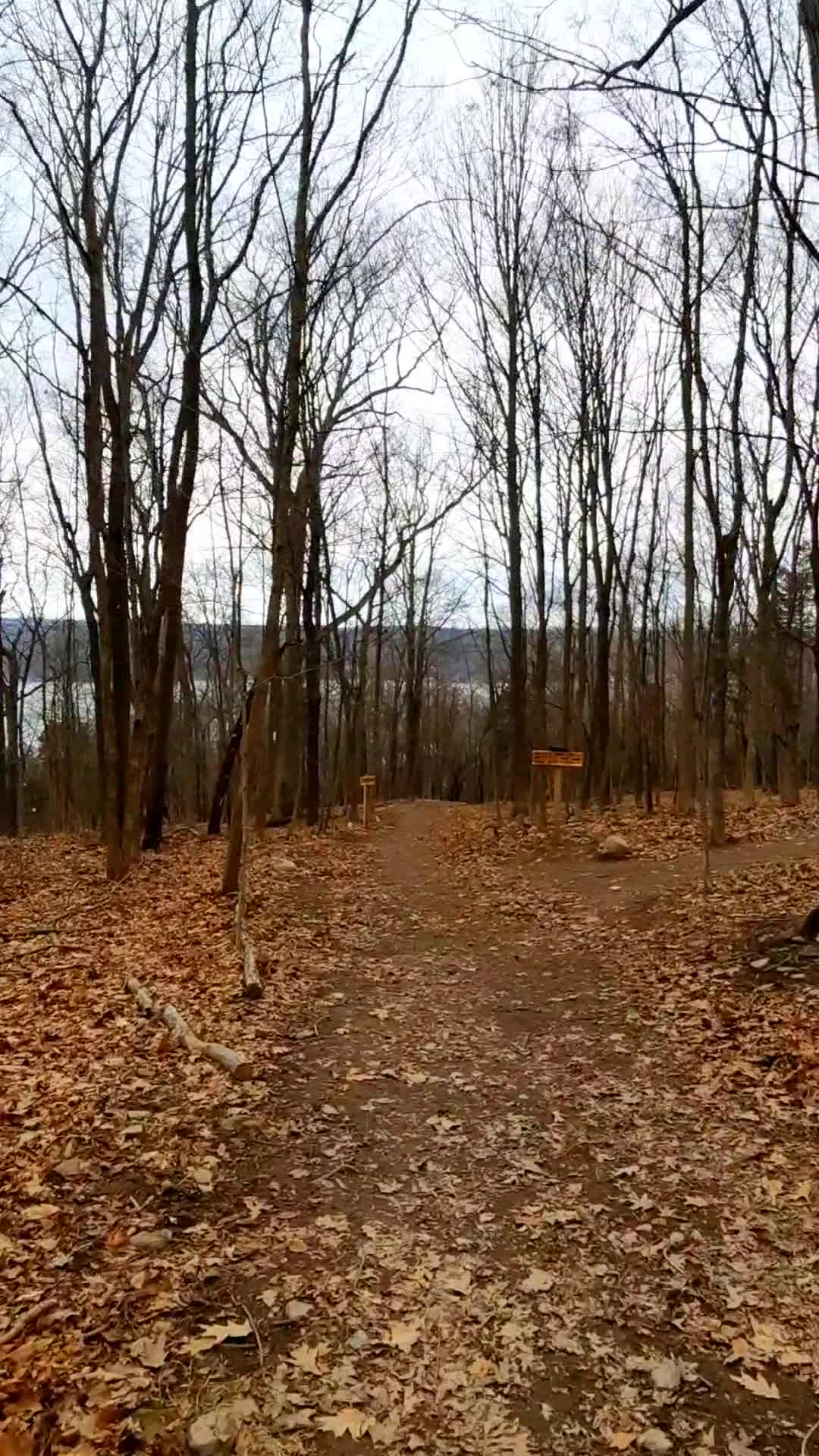 Sims-Jennings Preserve at Cayuga Cliffs