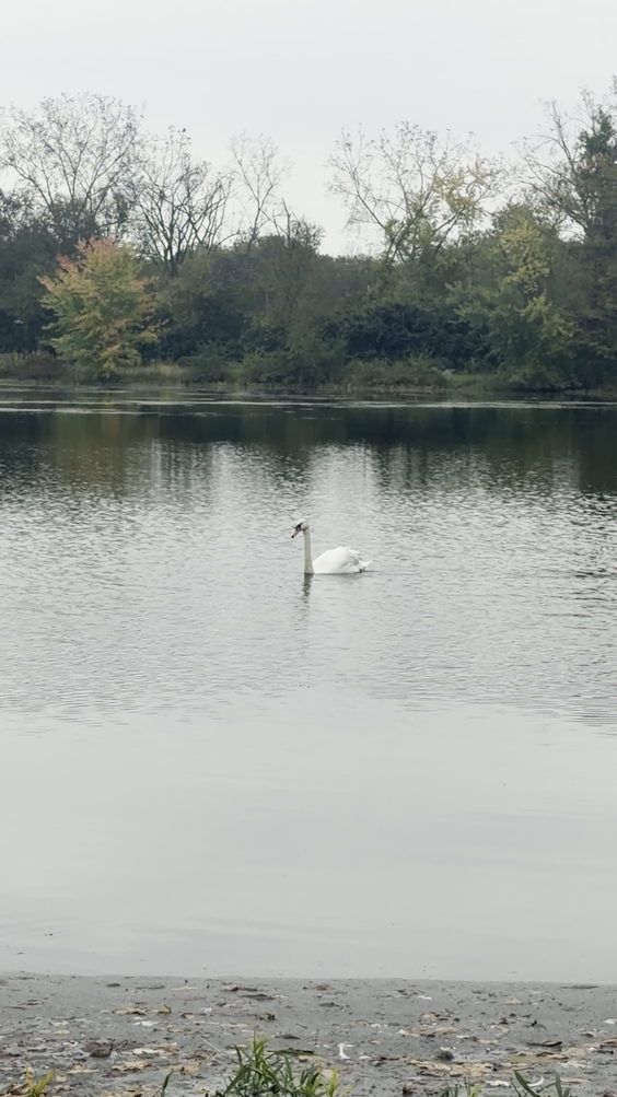 Alum Creek Multi-use Trail