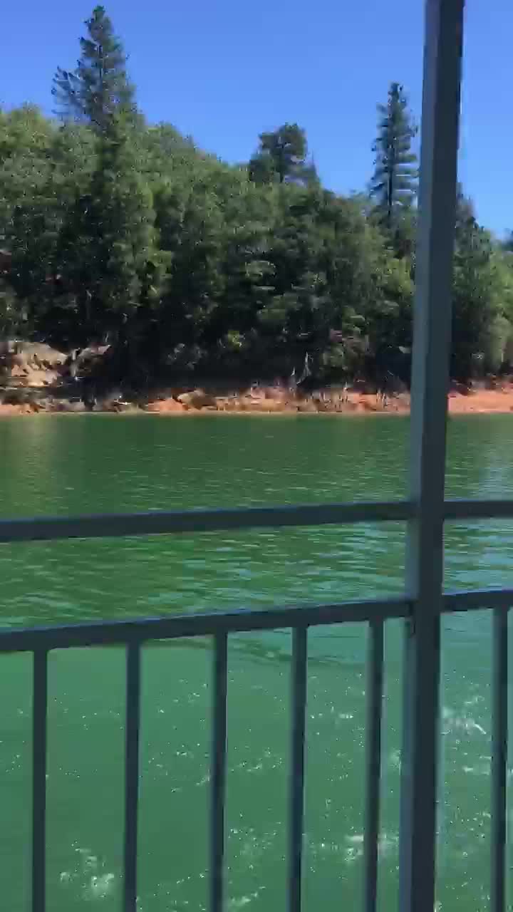 Video review of Lake Shasta Caverns
