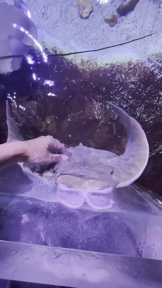 San Antonio Aquarium