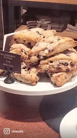 Video review of Panera Bread