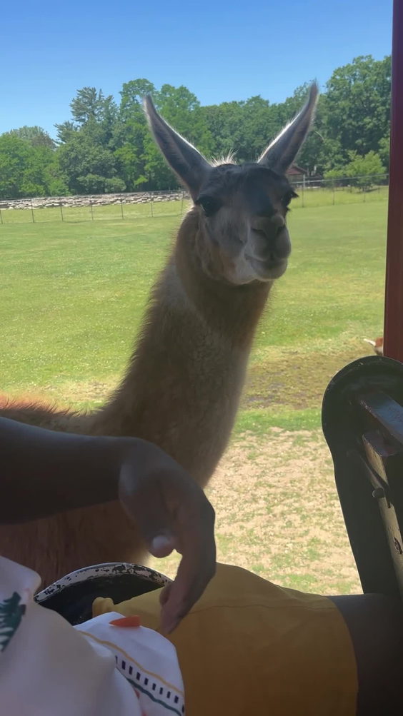 Timbavati Wildlife Park