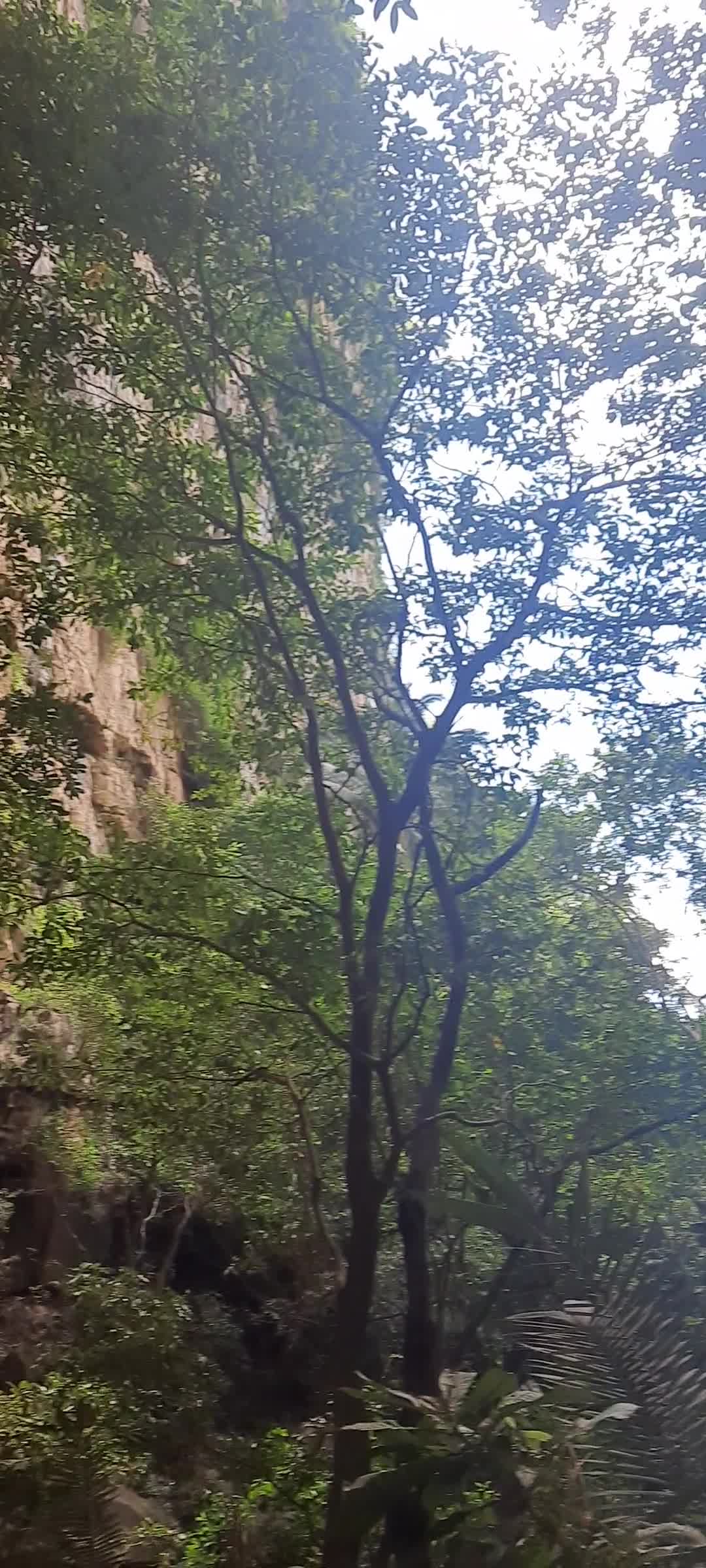 Cachoeira Veu de Noiva