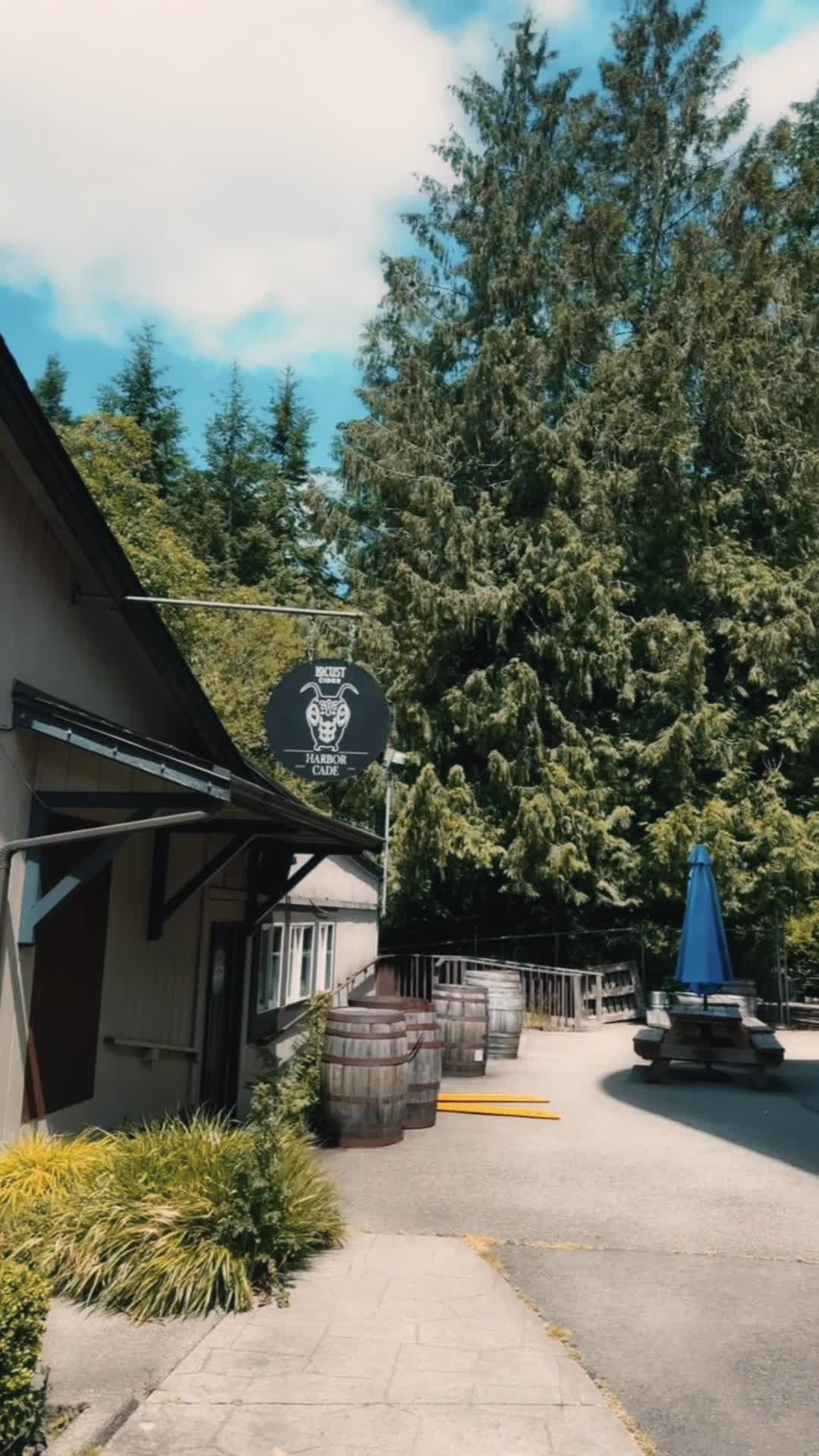 Locust Cider Gig Harbor