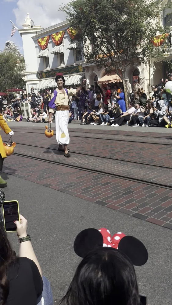 Disneyland Park
