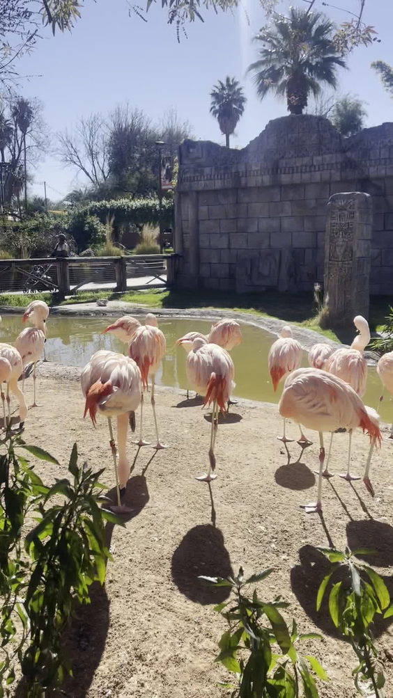 Reid Park Zoo