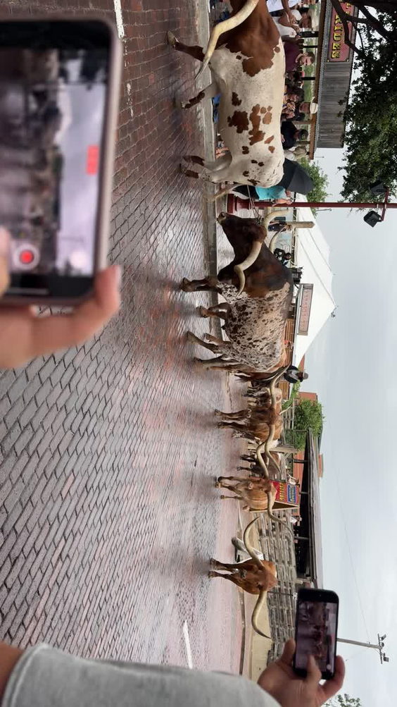 Stockyards Station