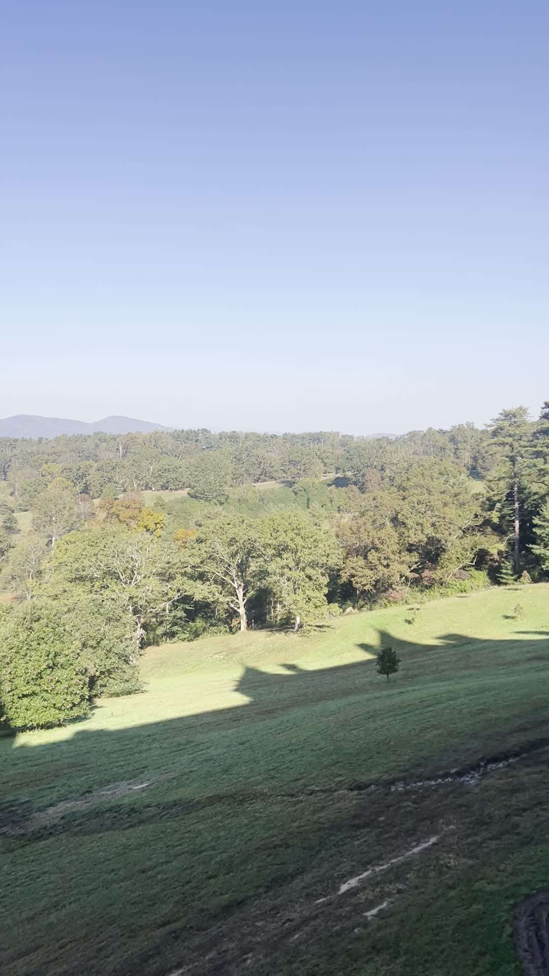 Biltmore