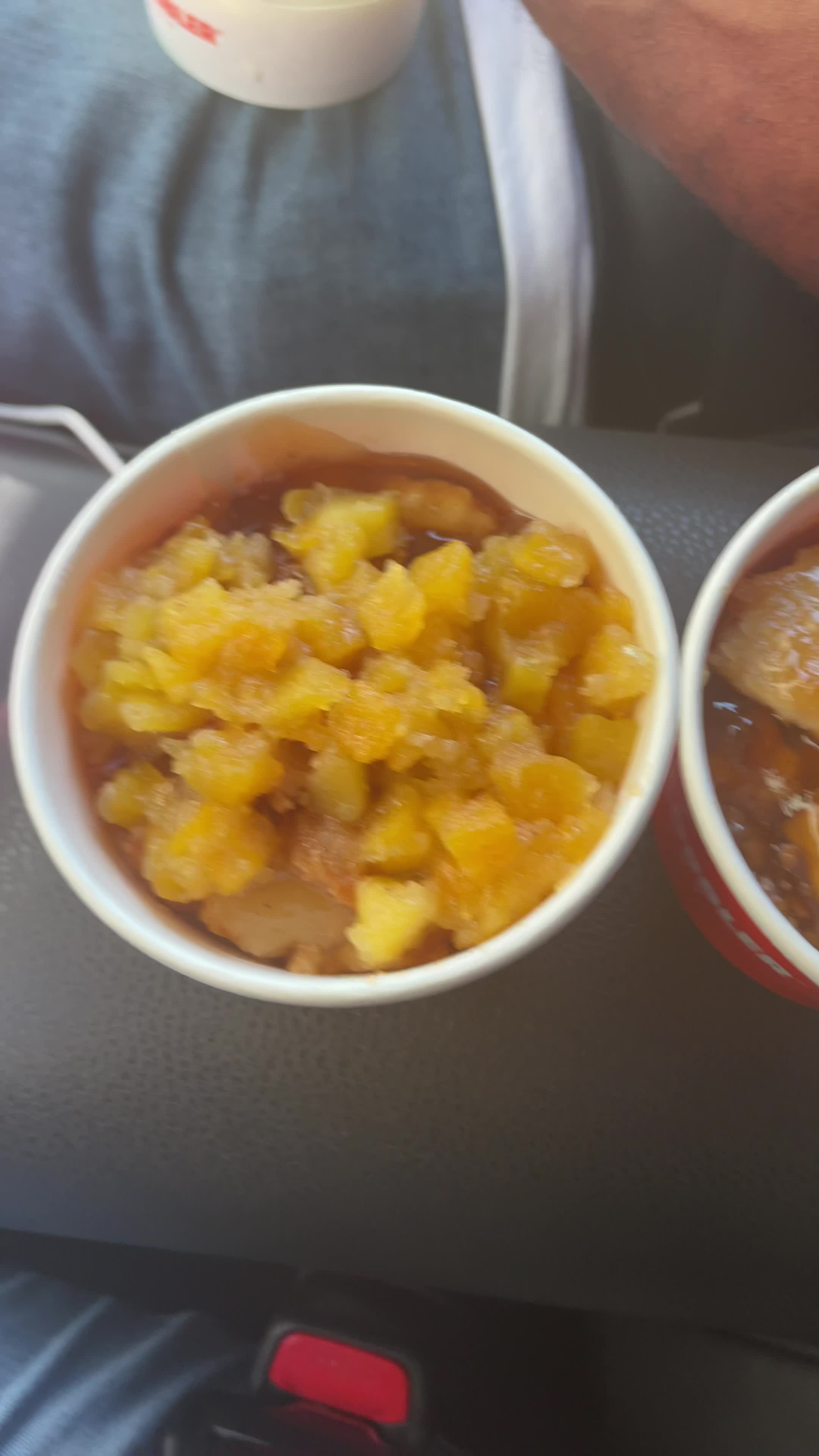 The Peach Cobbler Factory Tampa/USF