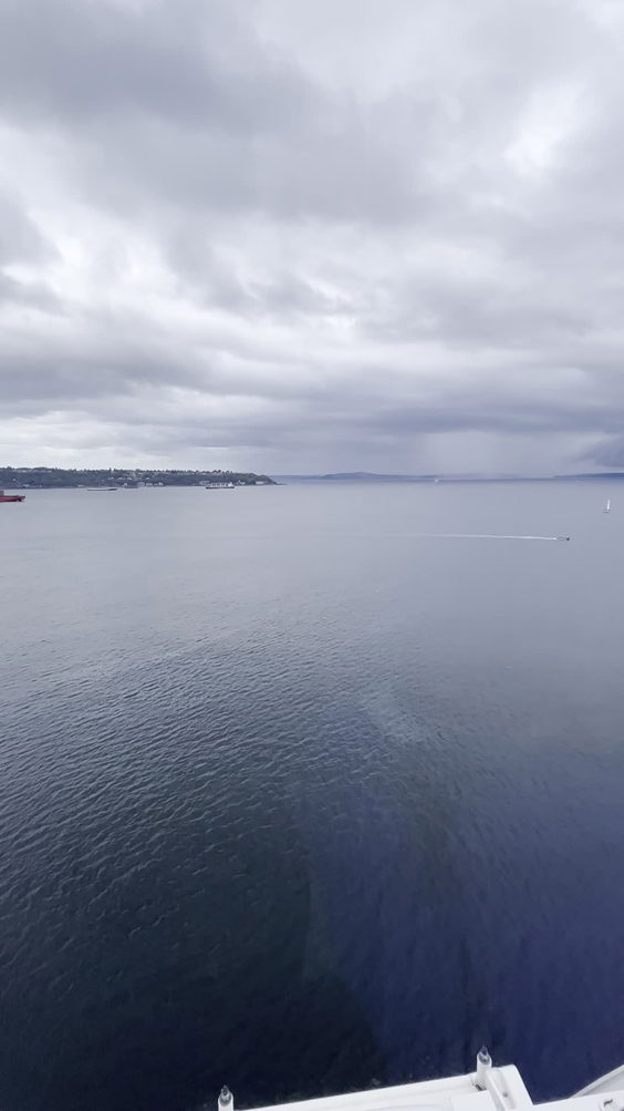 The Seattle Great Wheel