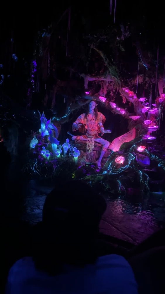 Disney's Animal Kingdom