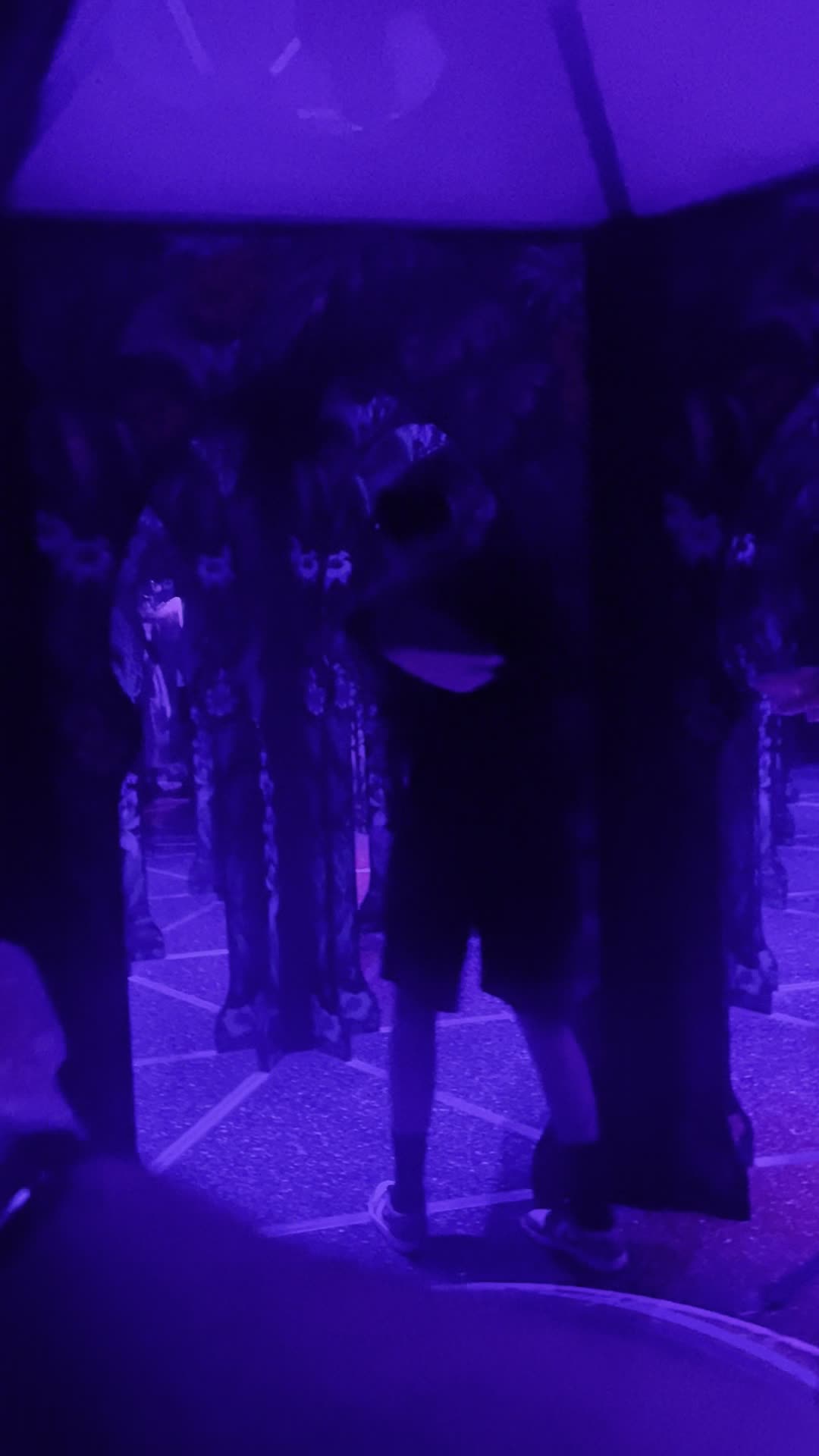 Video review of Odysea Mirror Maze