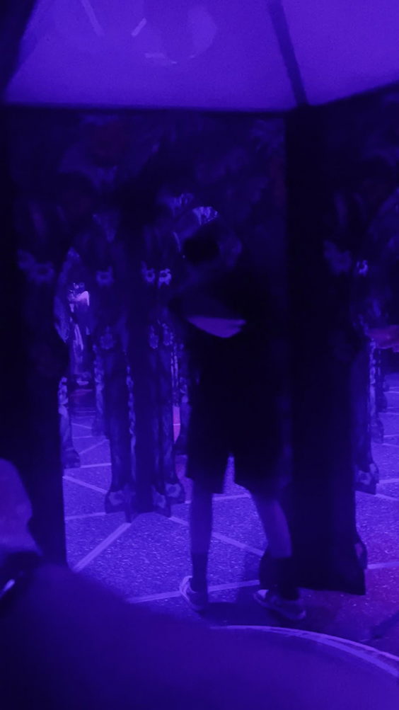 Odysea Mirror Maze