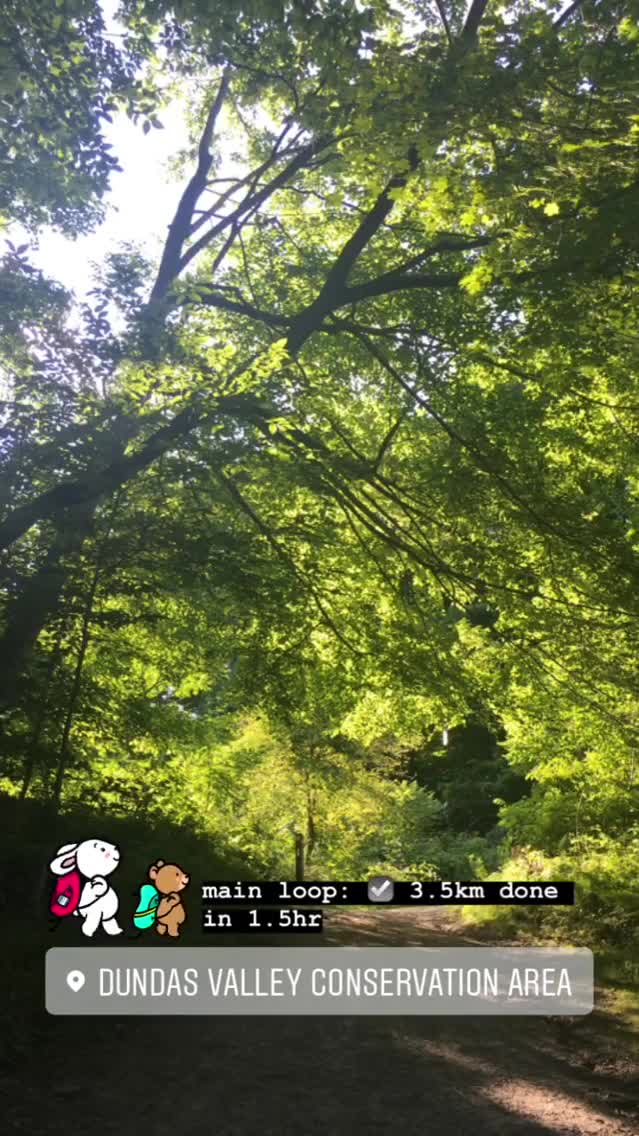 Dundas Conservation Area