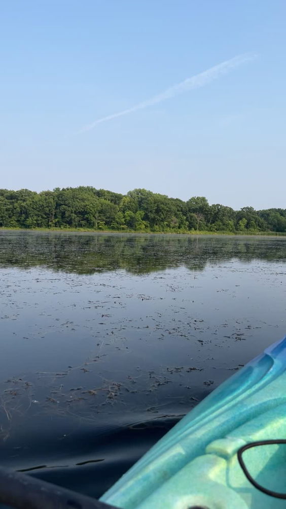 Busse Woods Boat Rental