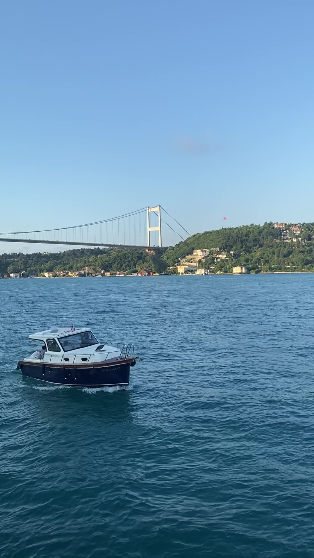 Cruise