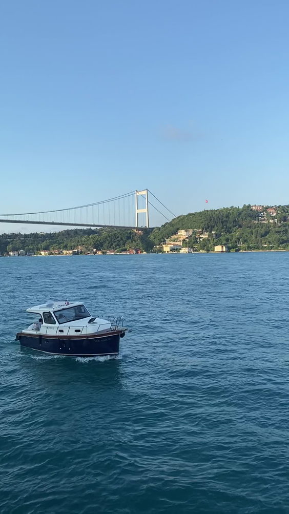 Cruise