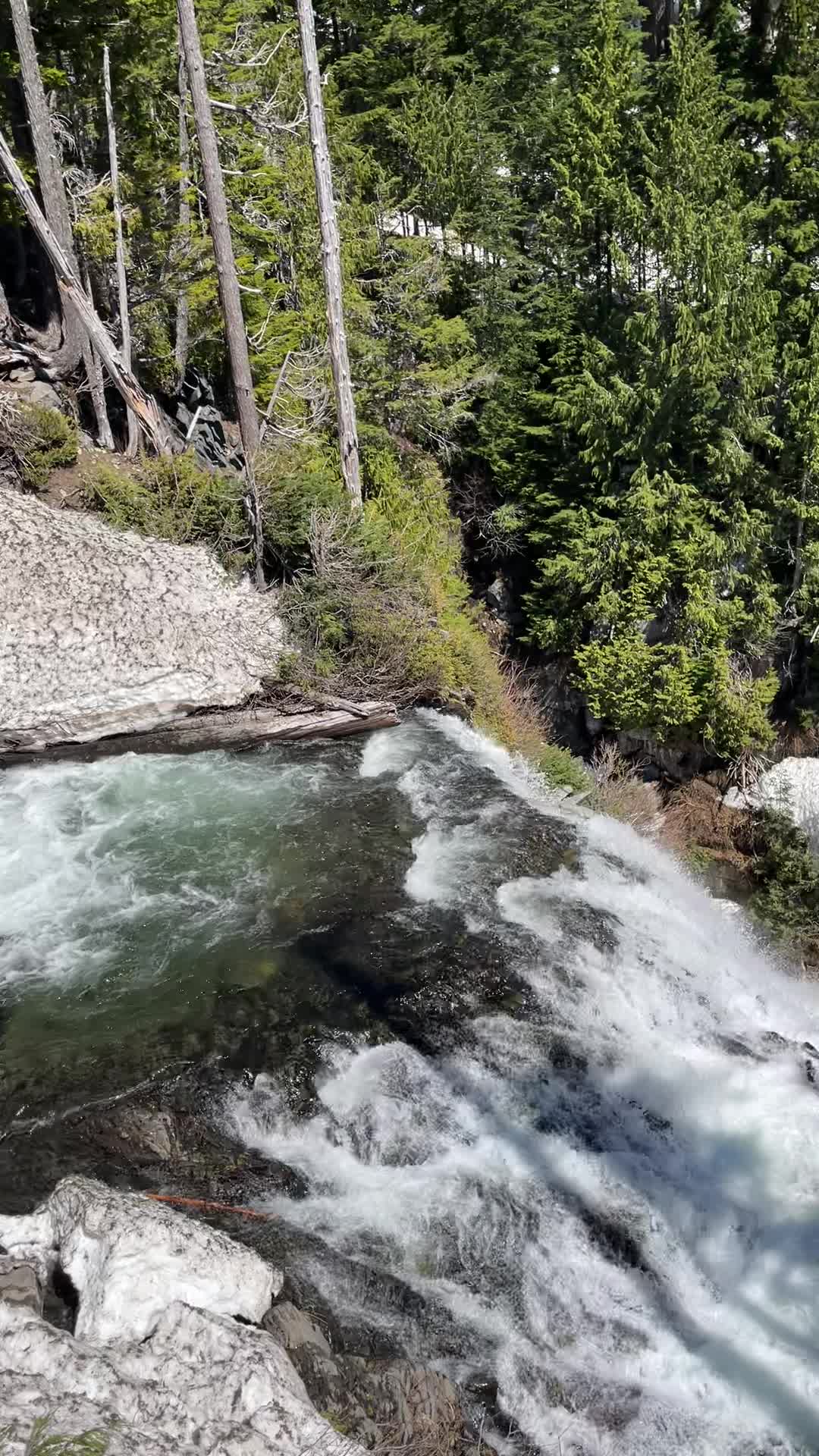 Mount Rainier National Park