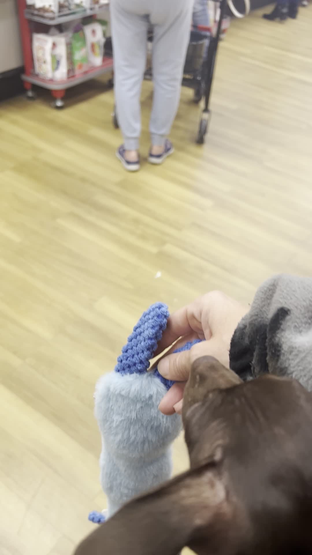 Video review of T.J. Maxx