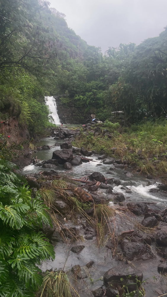 Waimea Arboretum and Botanical Garden