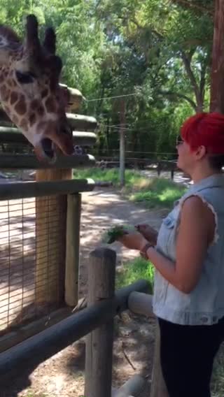 Fresno Chaffee Zoo