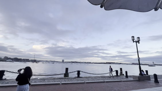 Fan Pier