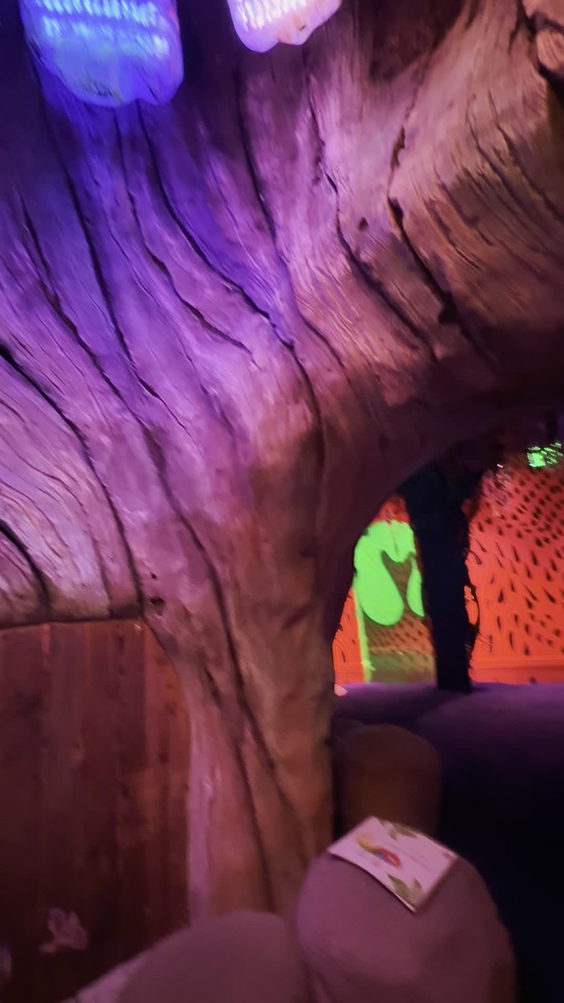 Meow Wolf Grapevine | The Real Unreal