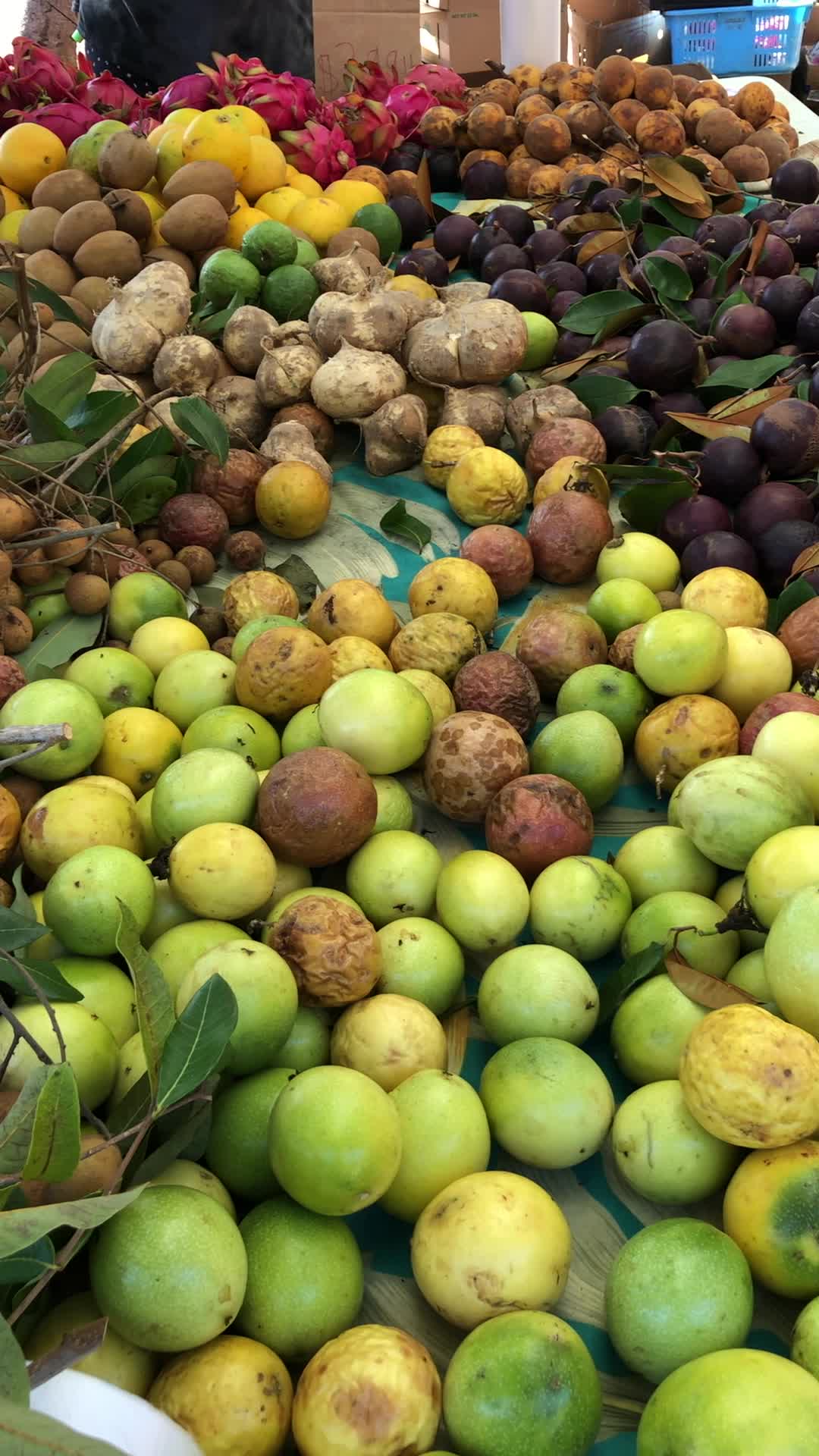 KCC Farmers Market
