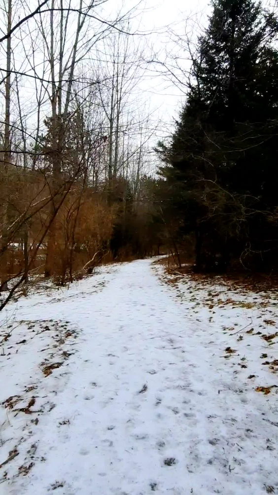 Nature Preserve