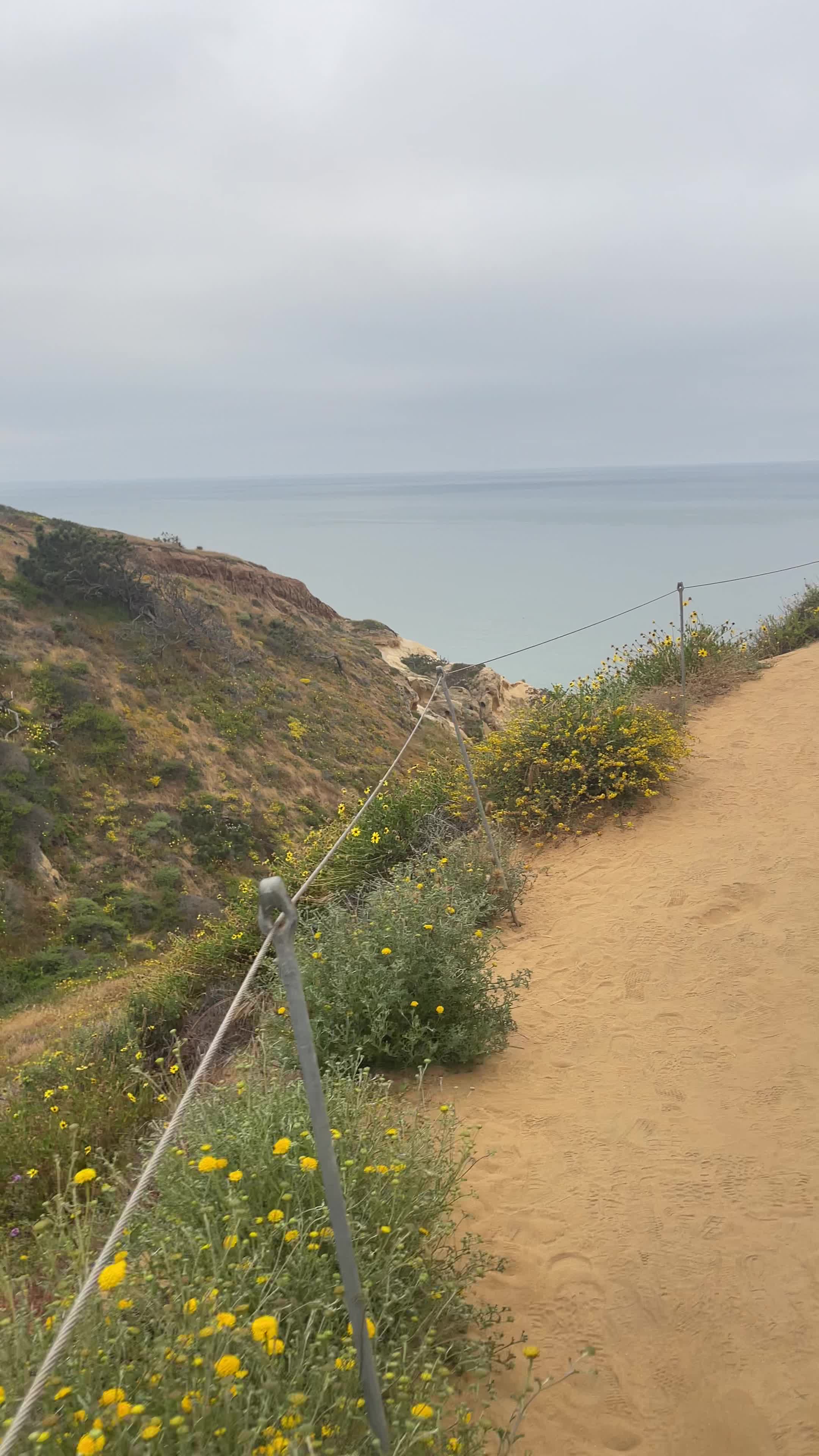 Torry Hills Walking Loop (Long)