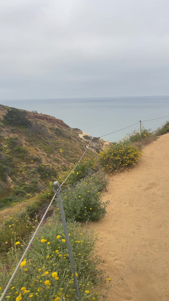 Torry Hills Walking Loop (Long)