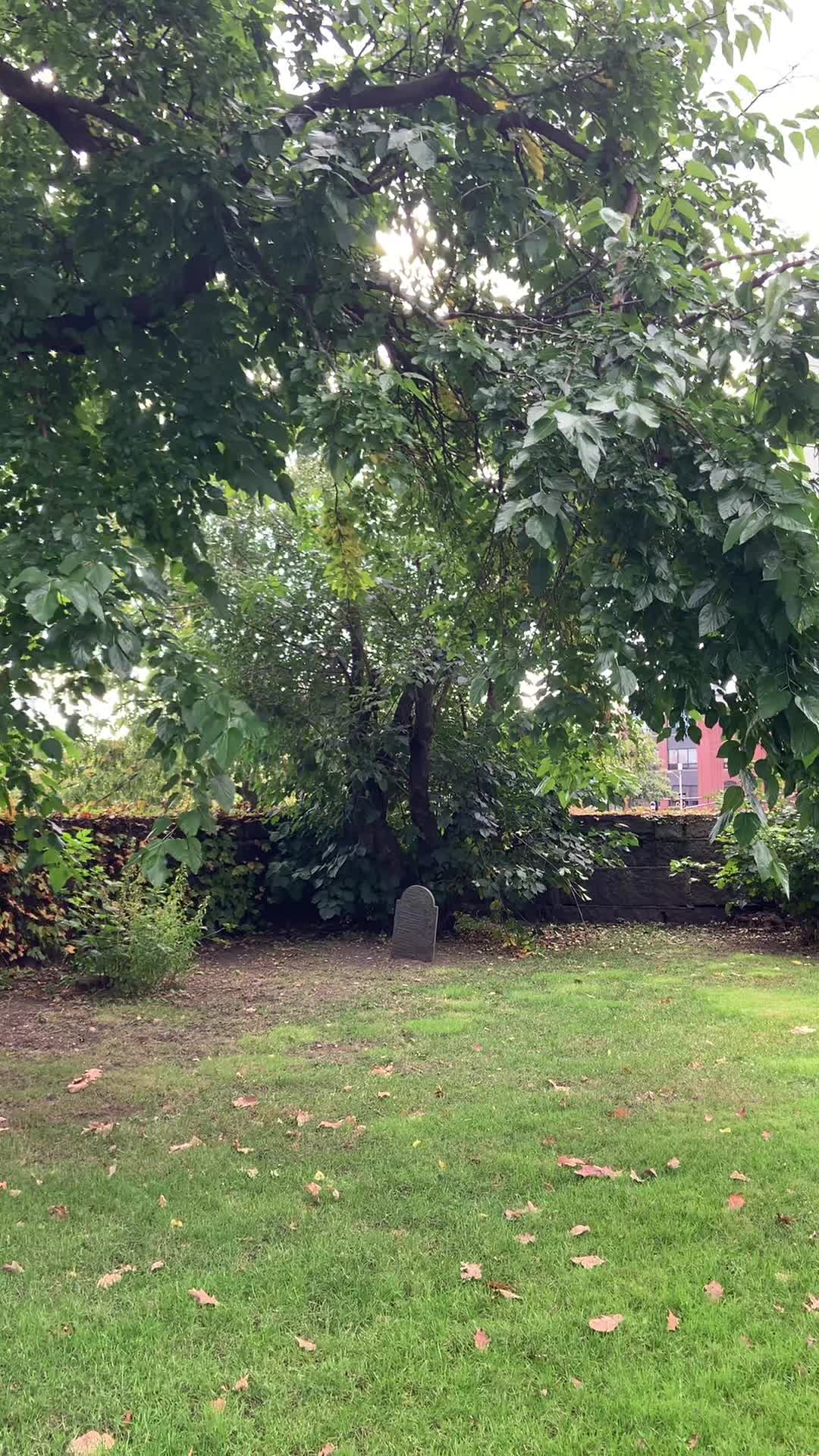 Old Burying Point Cemetery
