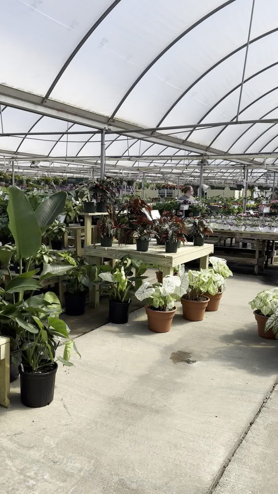 Fairview Garden Center