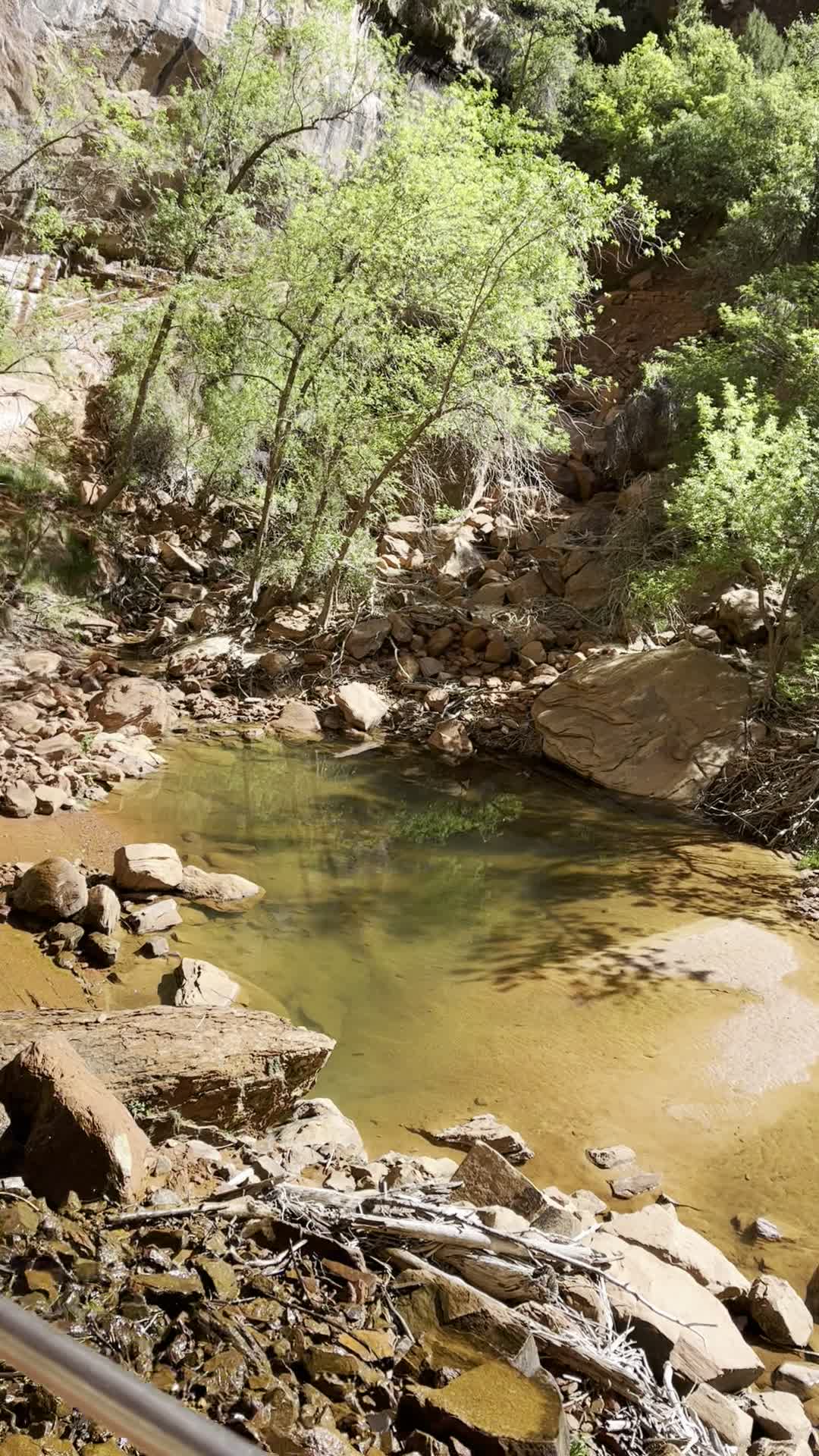 Zion National Park