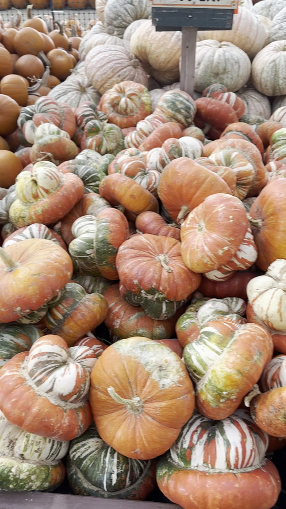 Forneris Farms